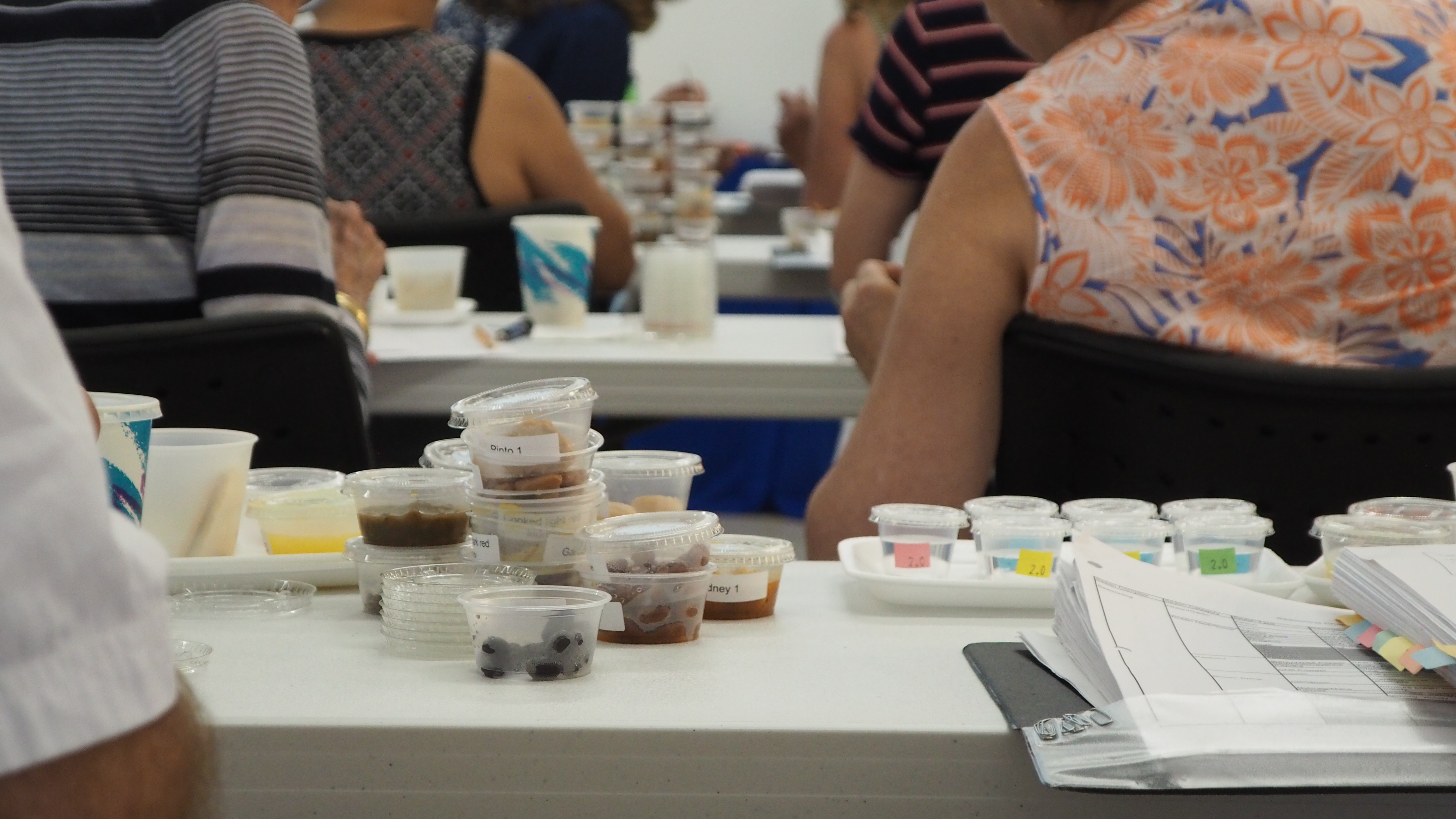 food samples on table