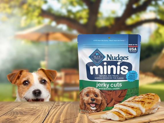 Dog sitting by an outdoor picnic table, looking at the new BLUE Nudges Minis in a grill-inspired flavor