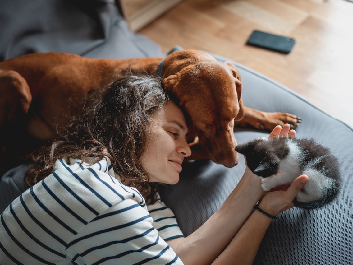 ​Pet parent on the couch with their dog and cat, bonding for National Pet Month.