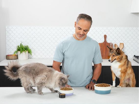 A man stands in a modern kitchen, smiling as he watches a fluffy gray cat eat from a bowl on the white countertop. To his right, a brown and white dog stands on the counter, looking at its own bowl of food.